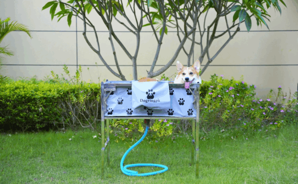 Bañera elevada y plegable para perros y gatos con drenaje, dimensiones 87x53x90 cm.