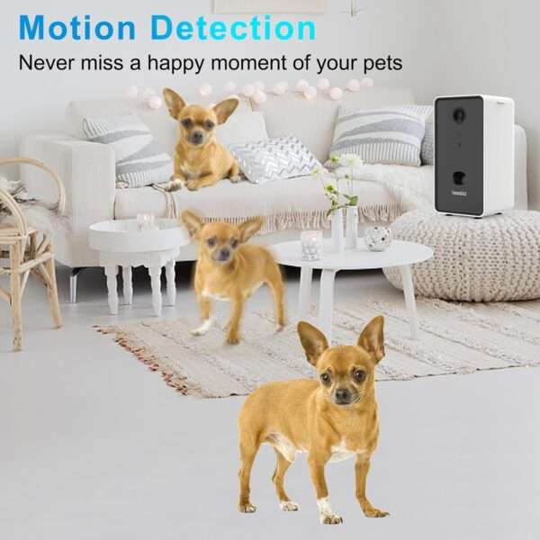 Cámara para mascotas con dispensador de golosinas, conectividad Wi-Fi, visión nocturna y detección de movimiento.