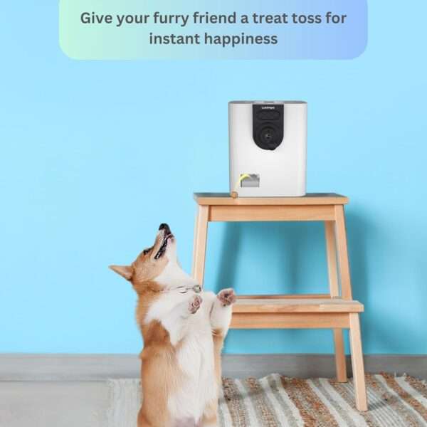 Cámara para mascotas con dispensador de golosinas, visión nocturna y detección de movimiento, conectividad Wi-Fi.