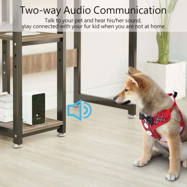Cámara para mascotas con dispensador de golosinas, conectividad Wi-Fi, visión nocturna y detección de movimiento.