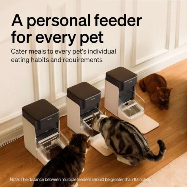 Comedero automático para gatos con etiqueta inteligente, Wi-Fi Dual Band, capacidad 3 litros.
