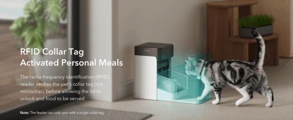 Comedero automático para gatos con etiqueta inteligente, Wi-Fi Dual Band, capacidad 3 litros.