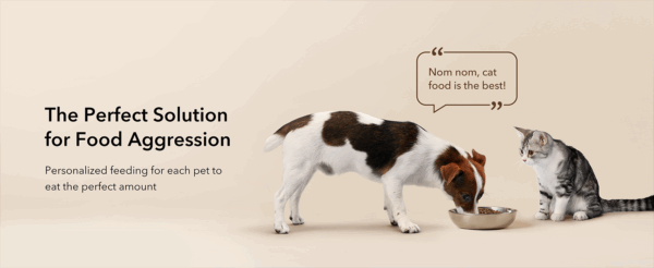 Comedero automático para gatos con etiqueta inteligente, Wi-Fi Dual Band, capacidad 3 litros.