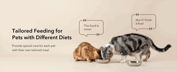 Comedero automático para gatos con etiqueta inteligente, Wi-Fi Dual Band, capacidad 3 litros.
