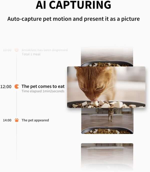 Comedero automático Wi-Fi para perros y gatos con cámara HD, detección de movimiento IA y visión nocturna.