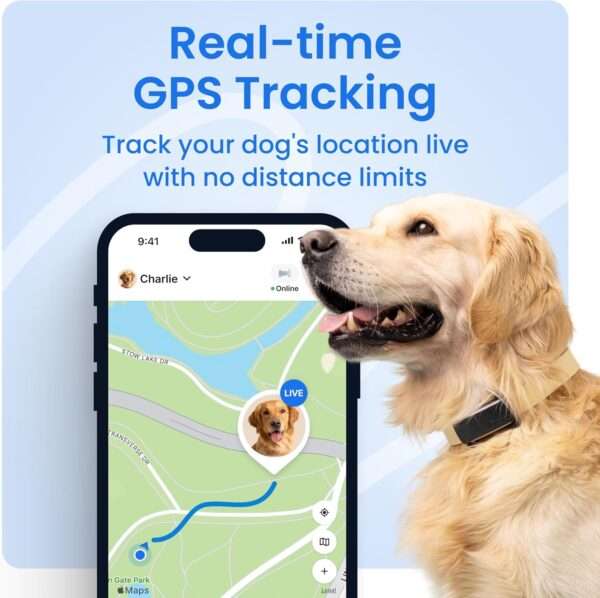 Rastreador GPS para perros en Chile Dispositivo de monitoreo de salud para mascotas Localizador de perros en vivo