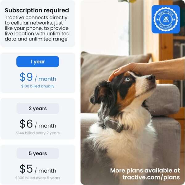 Rastreador GPS para perros en Chile Dispositivo de monitoreo de salud para mascotas Localizador de perros en vivo