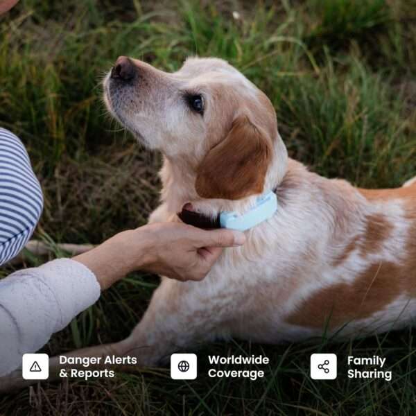 Rastreador GPS para perros en Chile Dispositivo de monitoreo de salud para mascotas Localizador de perros en vivo