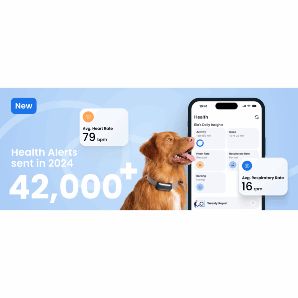 Rastreador GPS para perros en Chile Dispositivo de monitoreo de salud para mascotas Localizador de perros en vivo