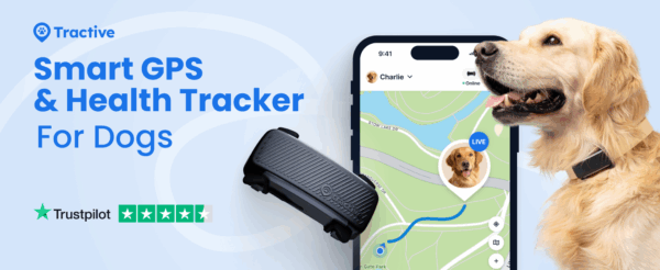 Rastreador GPS para perros en Chile Dispositivo de monitoreo de salud para mascotas Localizador de perros en vivo