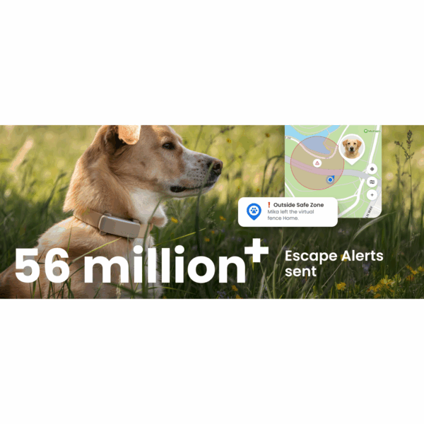 Rastreador GPS para perros en Chile Dispositivo de monitoreo de salud para mascotas Localizador de perros en vivo
