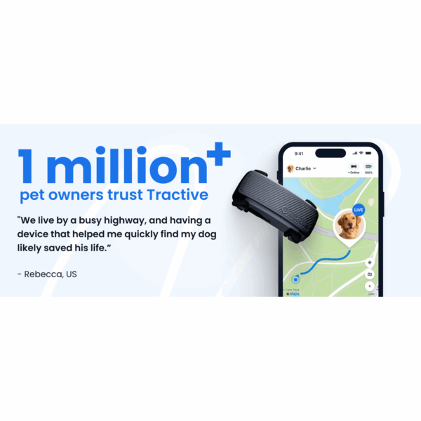 Rastreador GPS para perros en Chile Dispositivo de monitoreo de salud para mascotas Localizador de perros en vivo