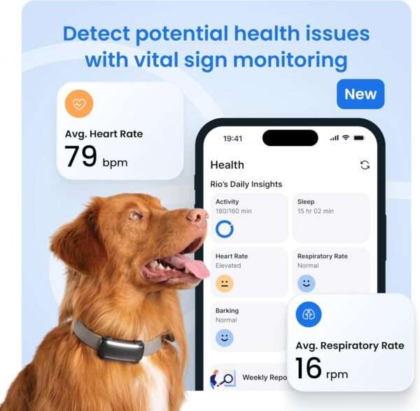 Rastreador GPS para perros en Chile Dispositivo de monitoreo de salud para mascotas Localizador de perros en vivo