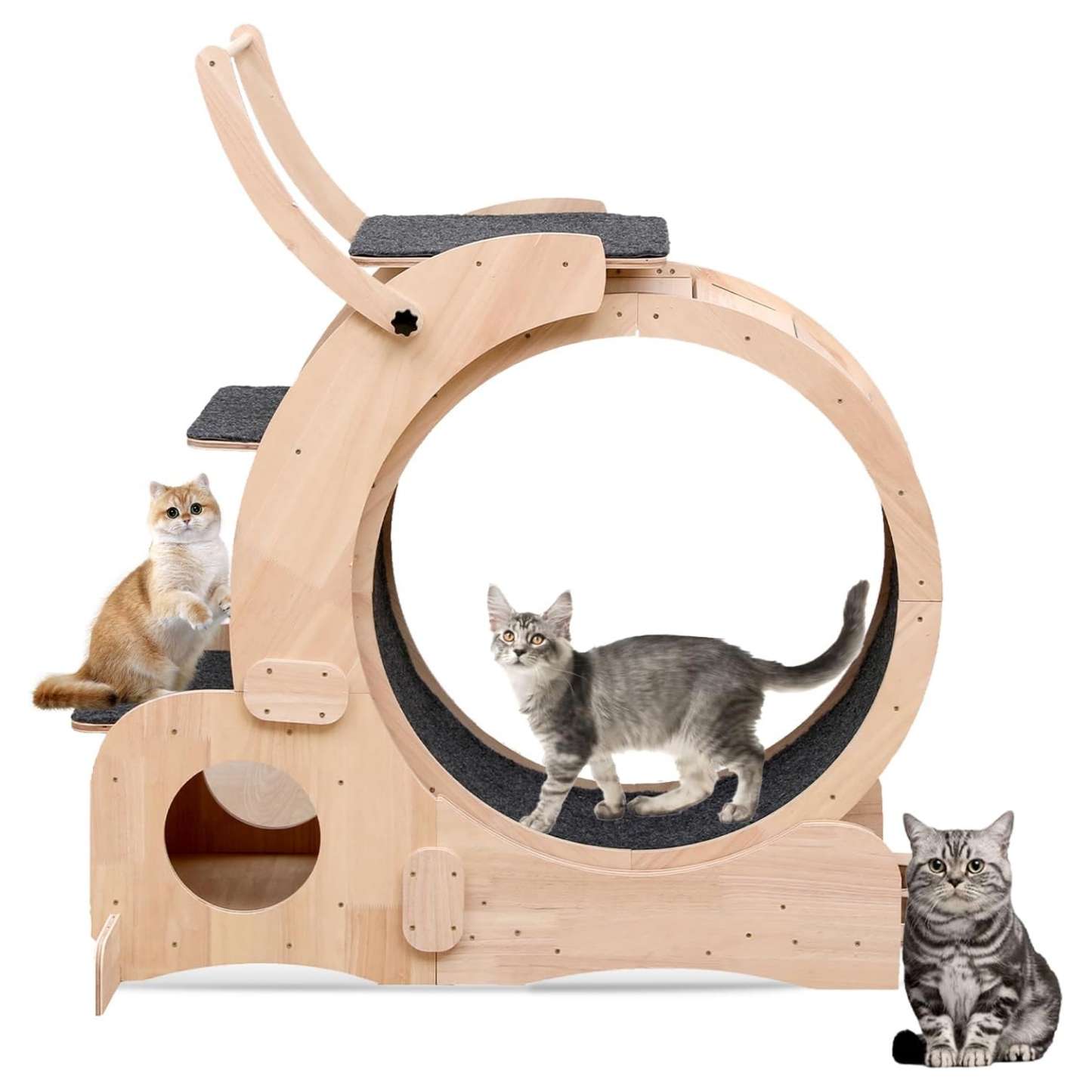 Rueda de ejercicio para gatos 3 en 1 de 88x34x125 cm. Centro de actividades multifuncional para gatos, combina rueda, juguete y rascador.
