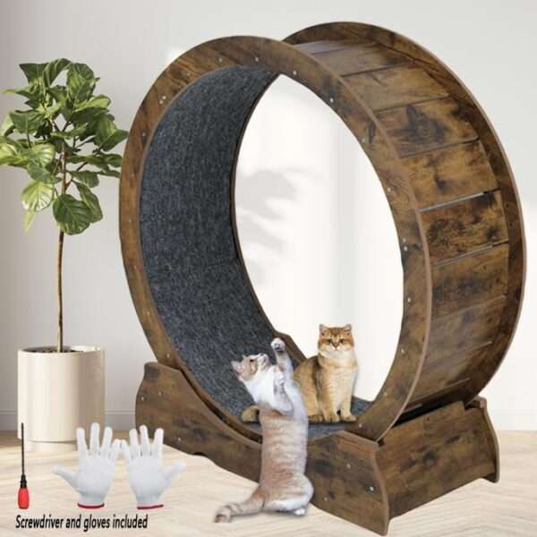 Rueda de ejercicio XL para gatos, color gris y blanco, para entrenamiento doméstico.