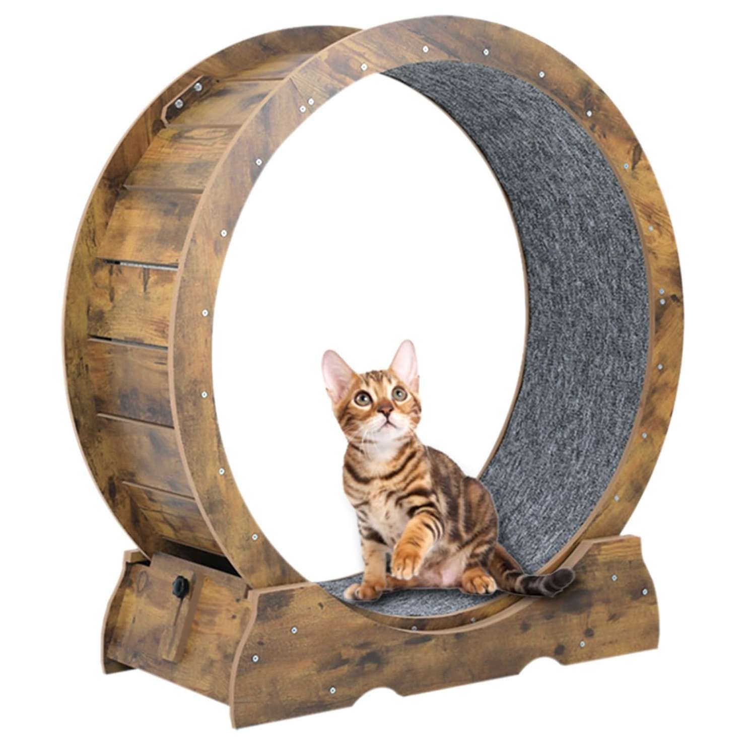 Rueda de ejercicio XL para gatos, color gris y blanco, para entrenamiento doméstico.
