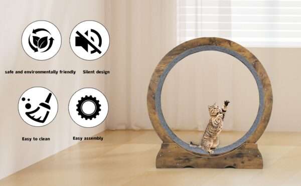 Rueda de ejercicio XL para gatos, color gris y blanco, para entrenamiento doméstico.