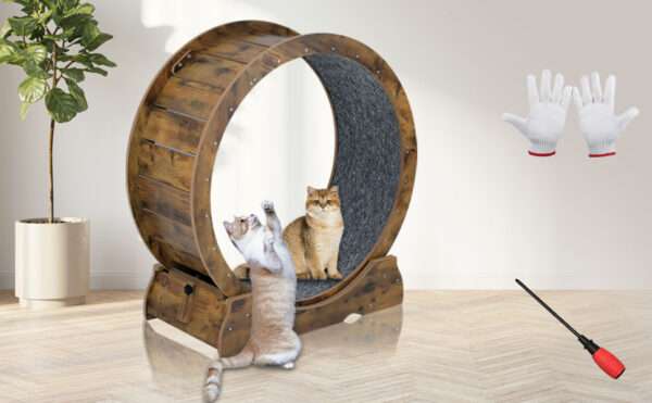 Rueda de ejercicio XL para gatos, color gris y blanco, para entrenamiento doméstico.