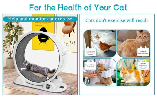 Rueda de ejercicio grande para mascotas con podómetro, ideal para entrenar gatos XL y perros pequeños.