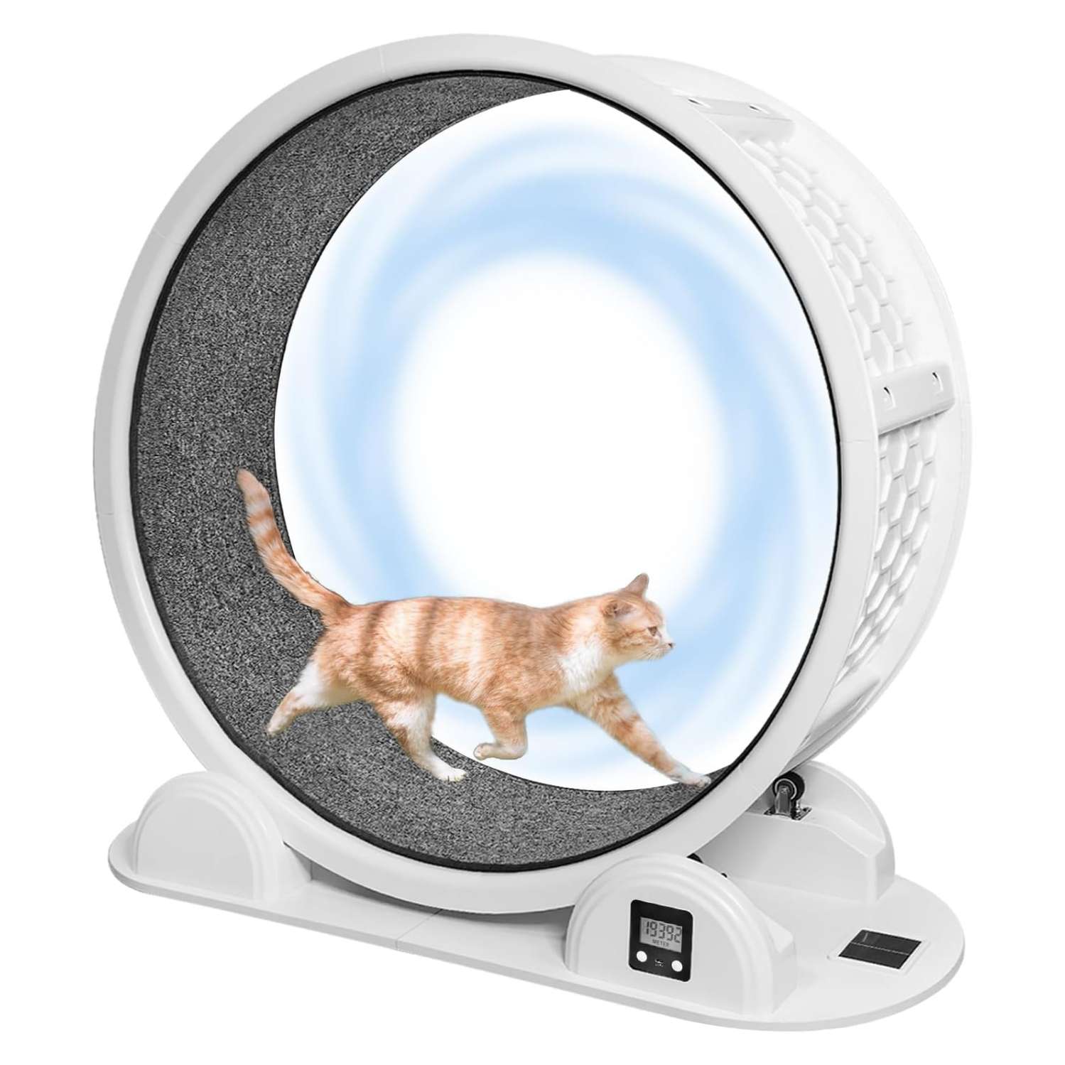 Rueda de ejercicio grande para mascotas con podómetro, ideal para entrenar gatos XL y perros pequeños.