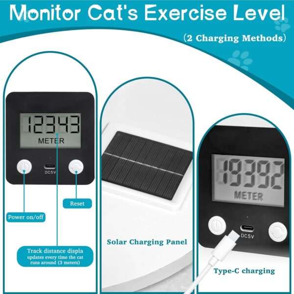 Rueda de ejercicio grande para mascotas con podómetro, ideal para entrenar gatos XL y perros pequeños.