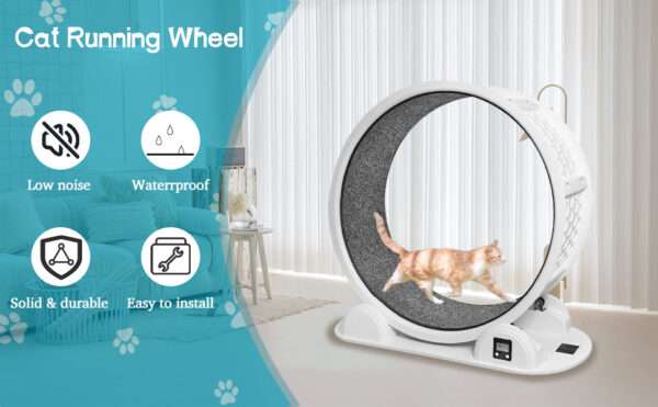Rueda de ejercicio grande para mascotas con podómetro, ideal para entrenar gatos XL y perros pequeños.