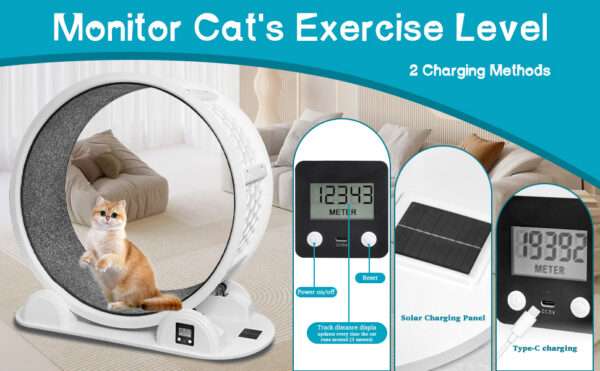 Rueda de ejercicio grande para mascotas con podómetro, ideal para entrenar gatos XL y perros pequeños.