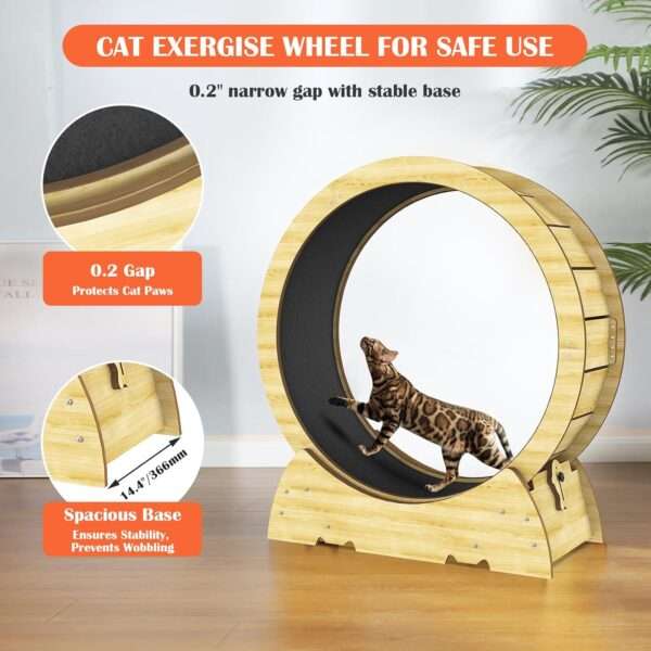 Rueda de ejercicio compacta para gatos, ideal para mantenerlos activos en interiores.