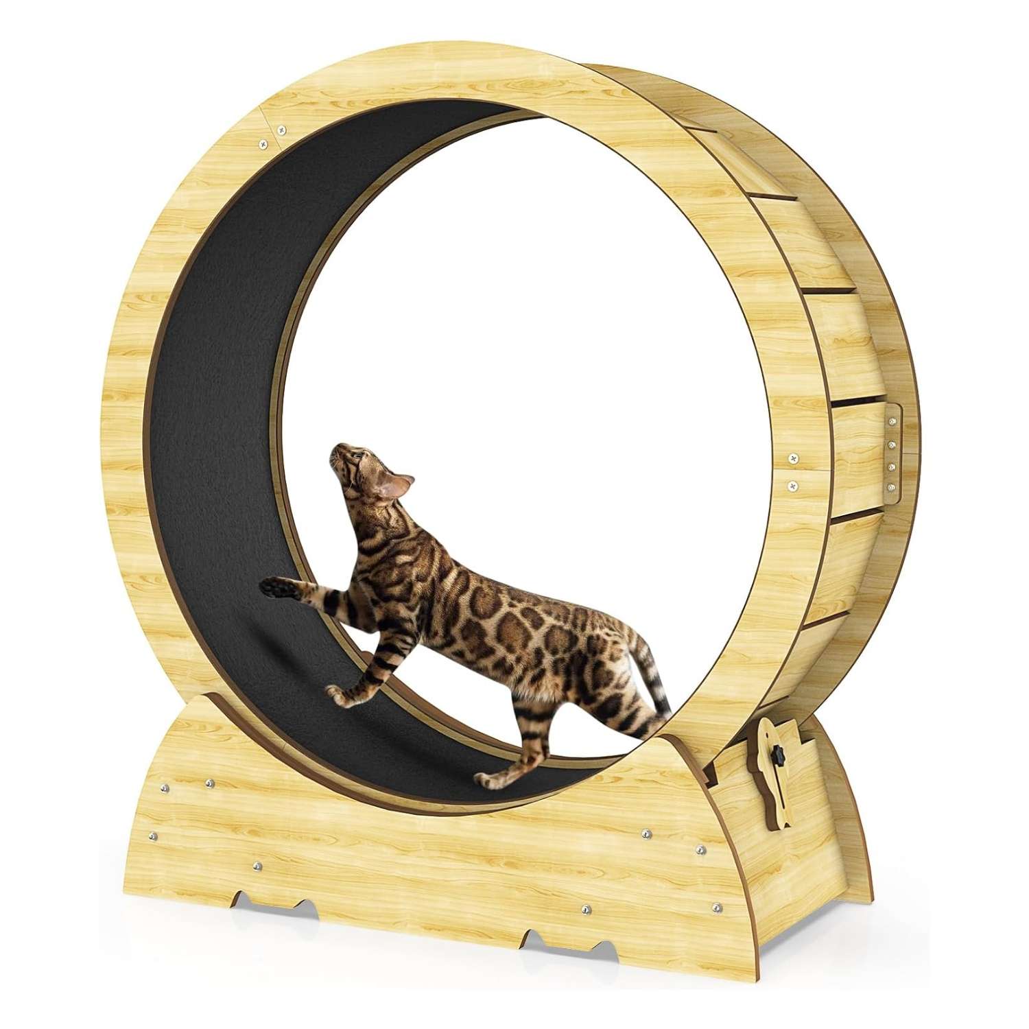 Rueda de ejercicio compacta para gatos, ideal para mantenerlos activos en interiores.