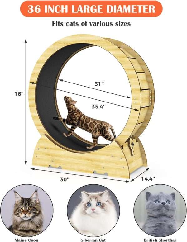 Rueda de ejercicio compacta para gatos, ideal para mantenerlos activos en interiores.