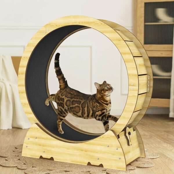 Rueda de ejercicio compacta para gatos, ideal para mantenerlos activos en interiores.