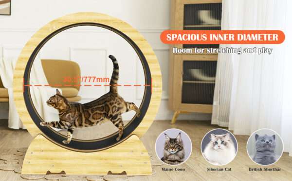 Rueda de ejercicio compacta para gatos, ideal para mantenerlos activos en interiores.