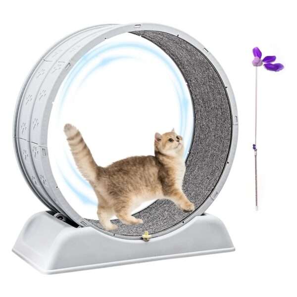 Rueda de ejercicio de resina para gatos pequeños o roedores 34x78x83 cm. Equipo para actividad física de mascotas, duradero y fácil de limpiar.