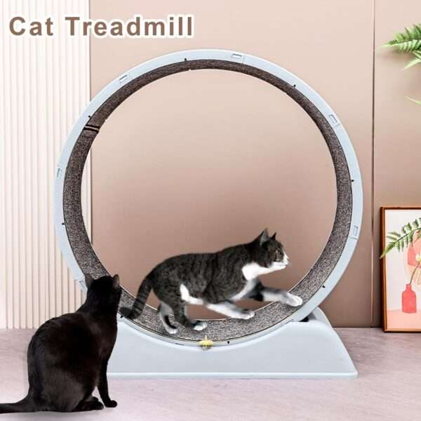 Rueda de ejercicio de resina para gatos pequeños o roedores 34x78x83 cm. Equipo para actividad física de mascotas, duradero y fácil de limpiar.