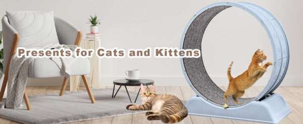 Rueda de ejercicio de resina para gatos pequeños o roedores 34x78x83 cm. Equipo para actividad física de mascotas, duradero y fácil de limpiar.