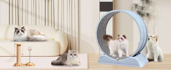 Rueda de ejercicio de resina para gatos pequeños o roedores 34x78x83 cm. Equipo para actividad física de mascotas, duradero y fácil de limpiar.