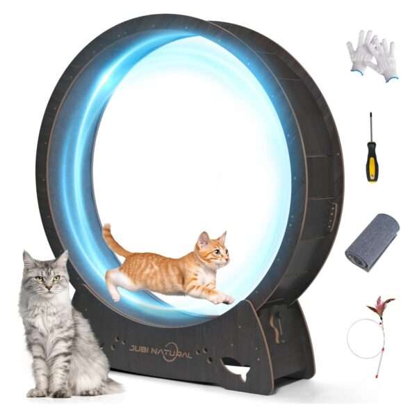 Rueda de ejercicio para gatos con pista silenciosa, diseño moderno y funcional.