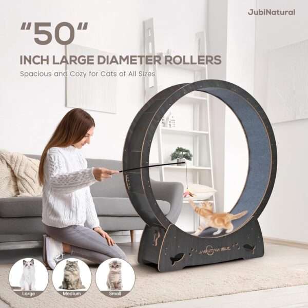 Rueda de ejercicio para gatos con pista silenciosa, diseño moderno y funcional.