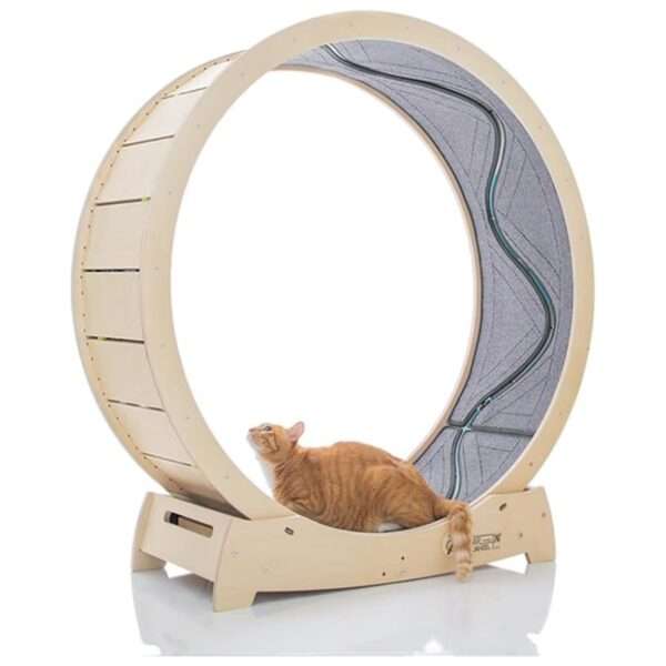 Rueda de ejercicio para gatos con interactivo pez en movimiento y base estable.