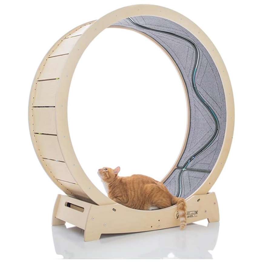 Rueda de ejercicio para gatos con interactivo pez en movimiento y base estable.