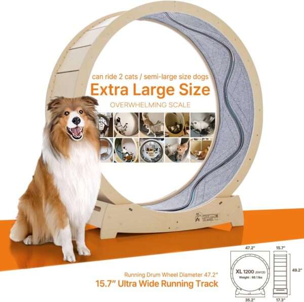Rueda de ejercicio para gatos con interactivo pez en movimiento y base estable.