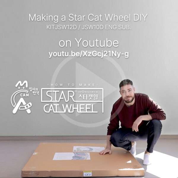 Rueda de ejercicio para gatos con interactivo pez en movimiento y base estable.