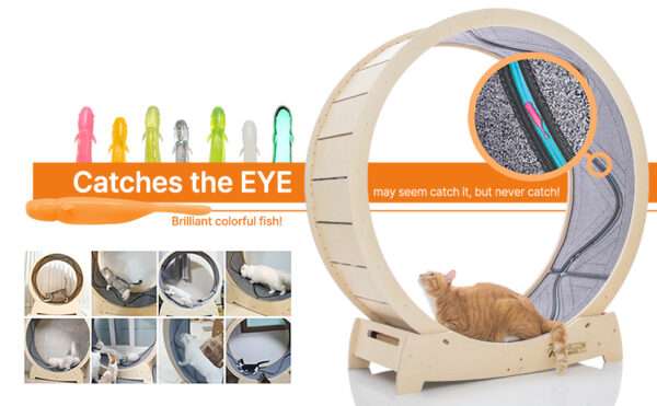Rueda de ejercicio para gatos con interactivo pez en movimiento y base estable.