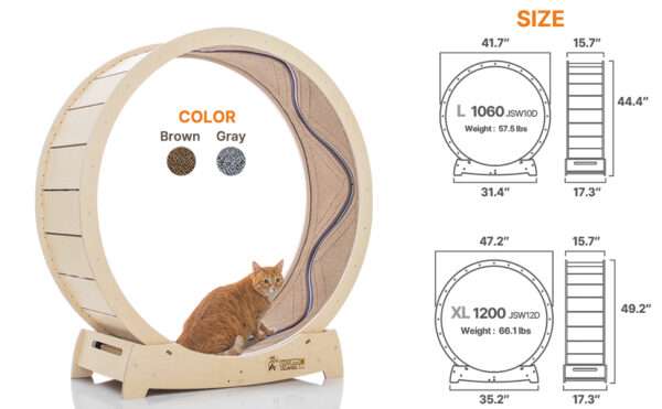 Rueda de ejercicio para gatos con interactivo pez en movimiento y base estable.