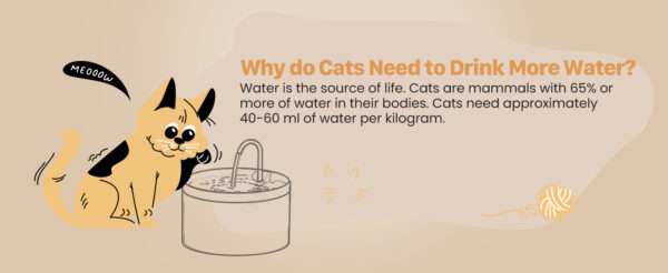Fuente de agua para mascotas 2L con grifo. Bebedero con chorro de agua, ideal para perros y gatos que prefieren beber directamente del grifo.