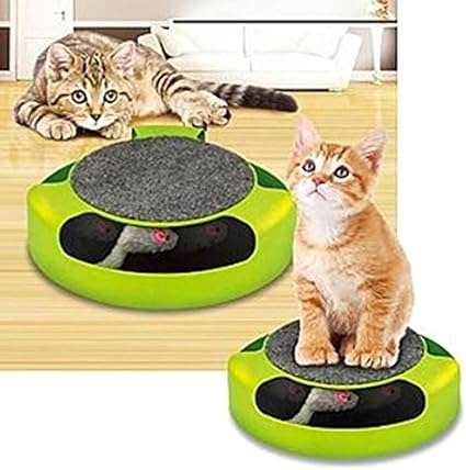 Juguete interactivo para gatos, atrapa ratón.