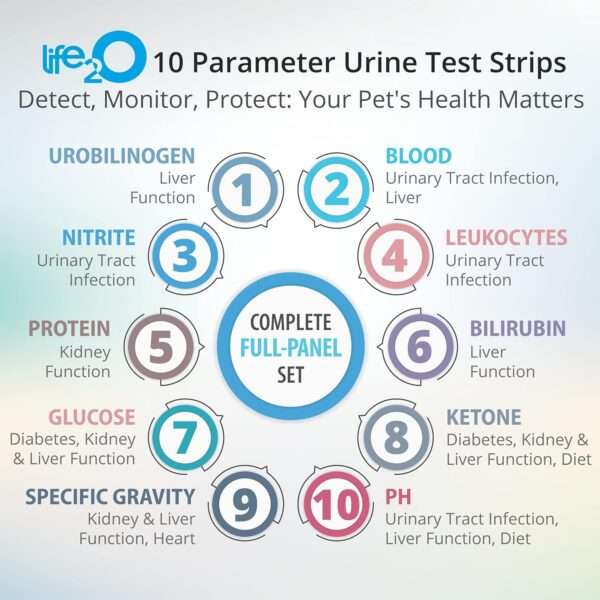 Kit de 60 tiras de análisis de orina veterinaria de 10 parámetros para perros y gatos.