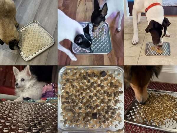 Alfombrilla de acero inoxidable 304 para lamer para perros y gatos. Ayuda a reducir la ansiedad y promueve la alimentación lenta