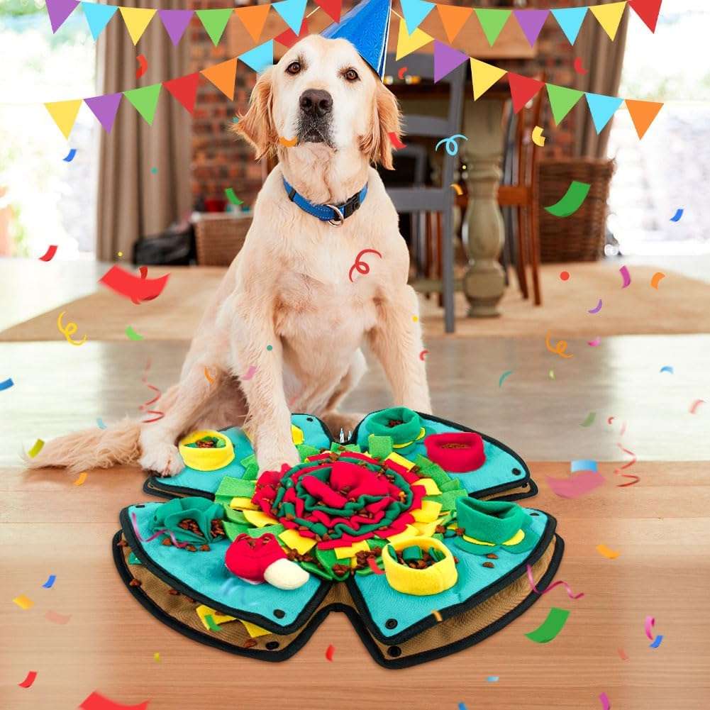 Alfombrilla de olfateo para perros. Es un juguete interactivo que ayuda a estimular la mente de la mascota.