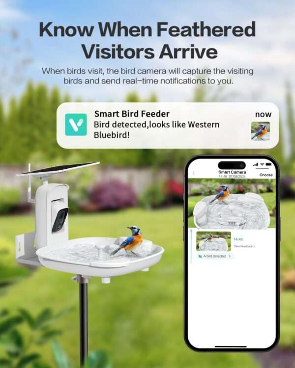 Baño solar para pájaros con cámara 2K, flujo automático de agua y detección de especies por IA.